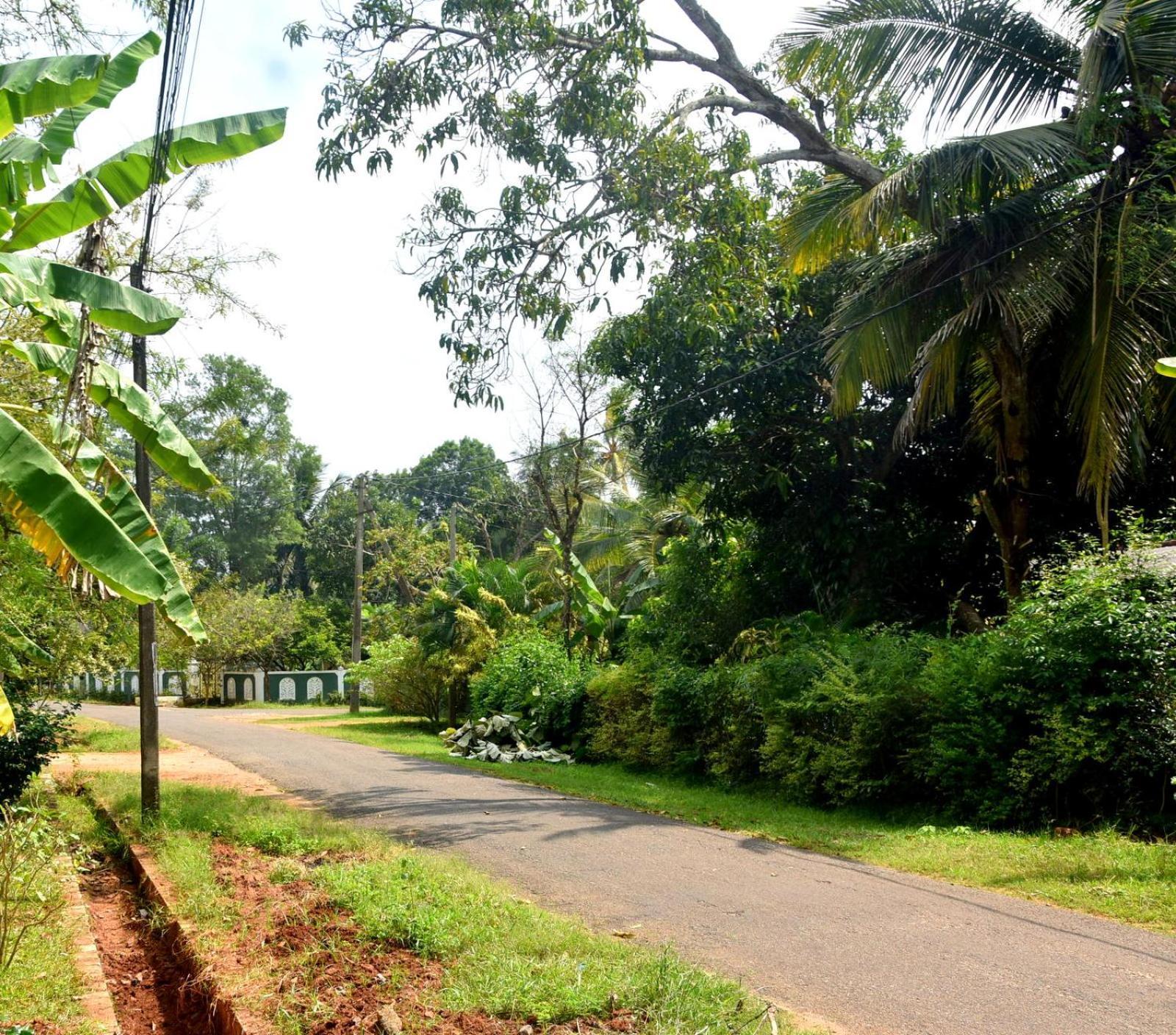 Kulassa Homes Anuradhapura Dış mekan fotoğraf